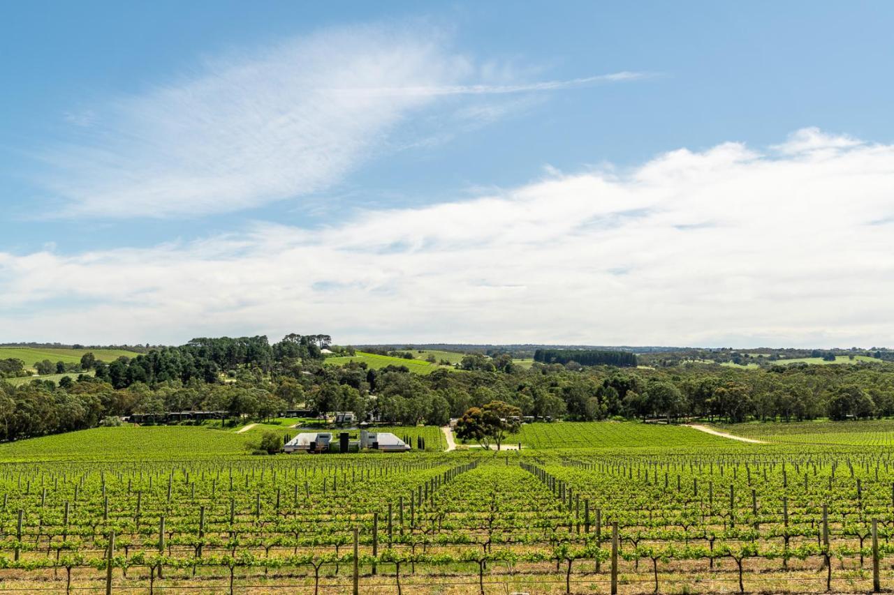 Beresford Estate Ξενοδοχείο McLaren Flat Εξωτερικό φωτογραφία