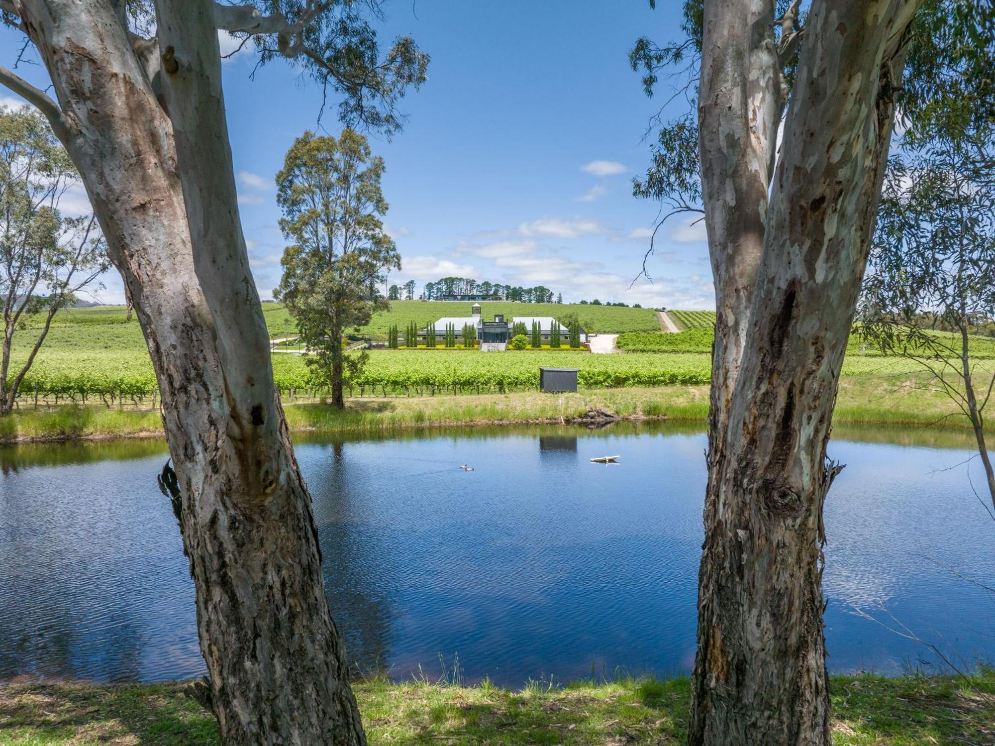 Beresford Estate Ξενοδοχείο McLaren Flat Εξωτερικό φωτογραφία